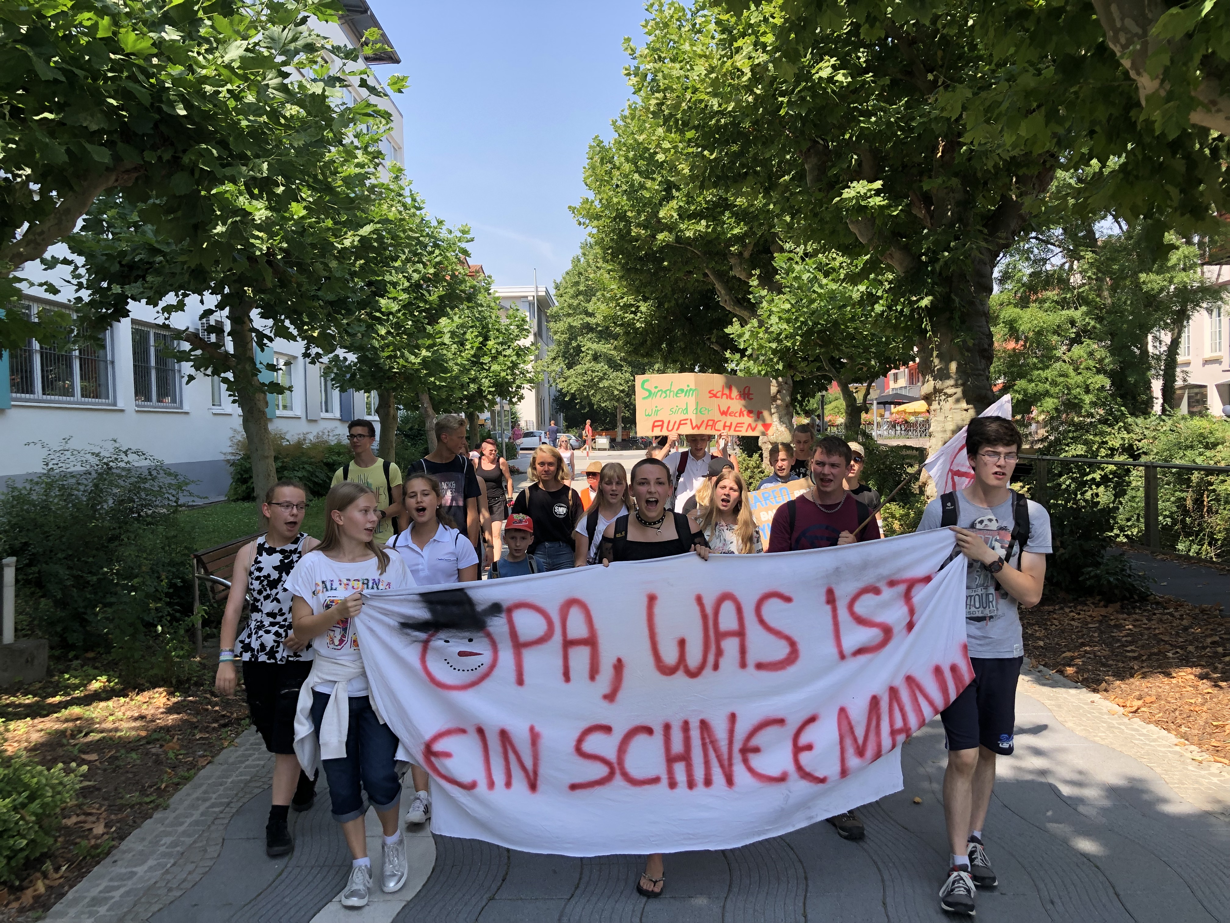 Demonstration der FFF in Sinsheim
