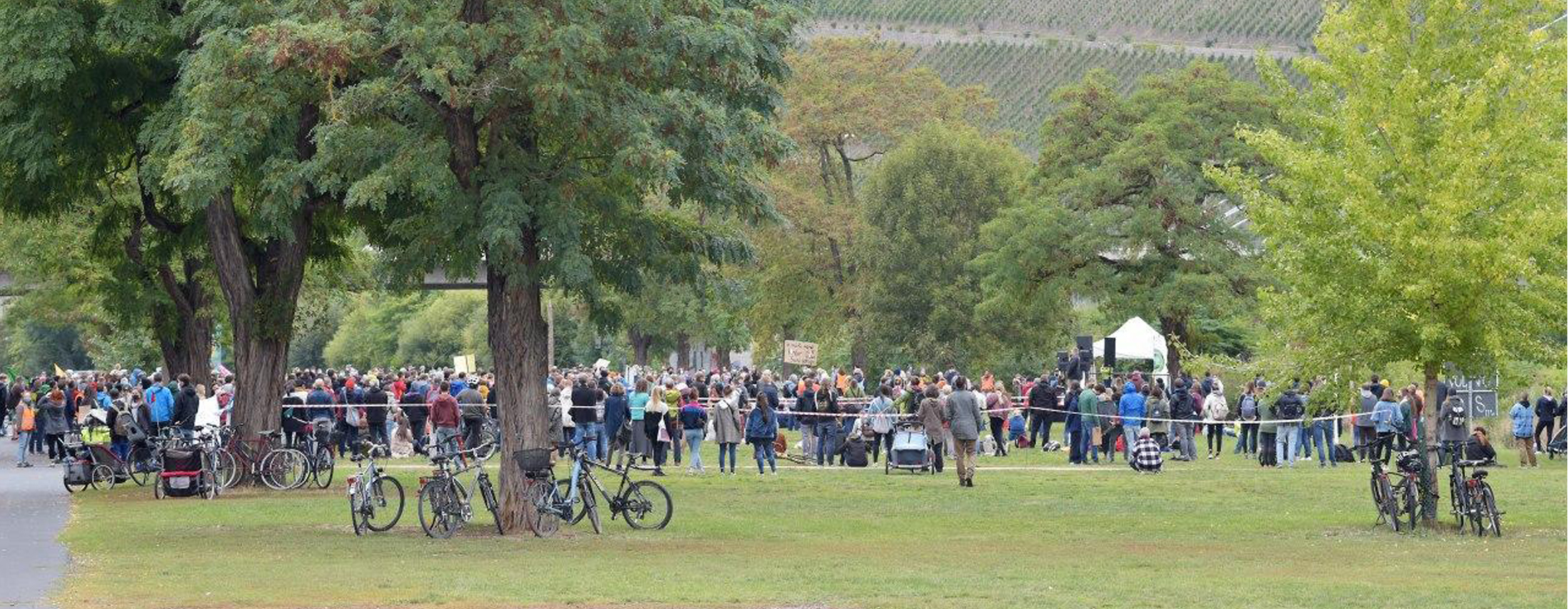 25.09.2020 Mainwiesen Würzburg