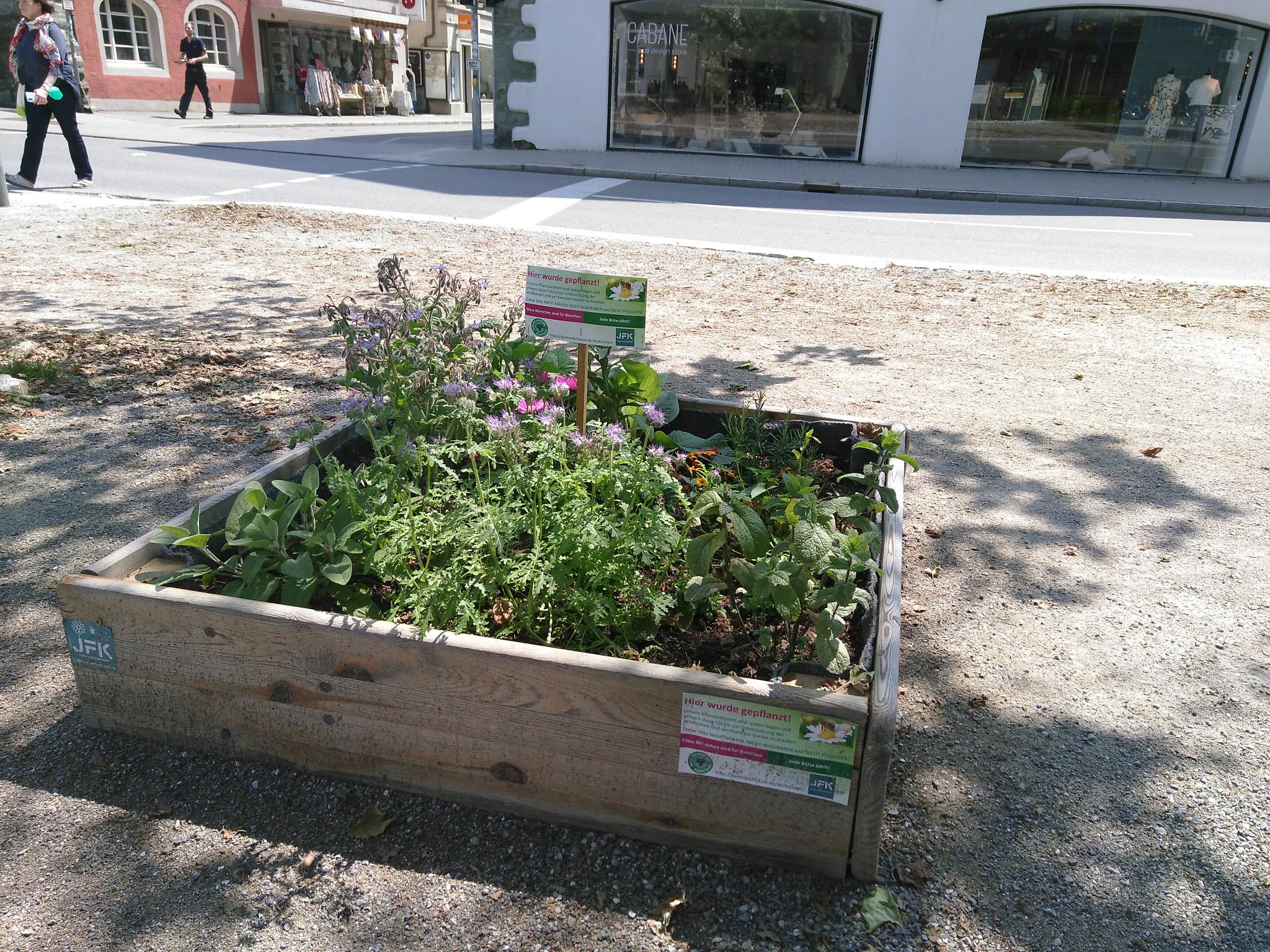 Hochbeet am Kiosk auf der Laube