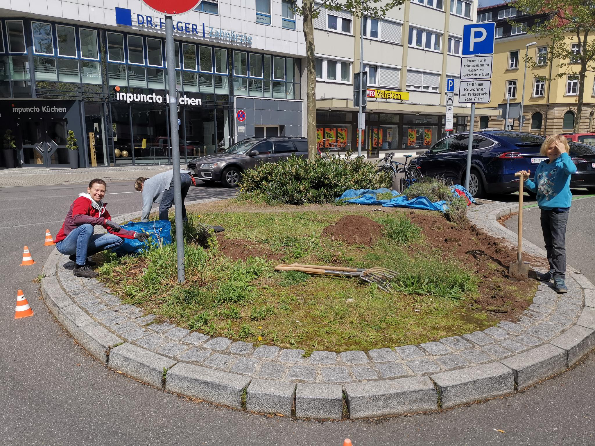 Lavendel pflanzen 1