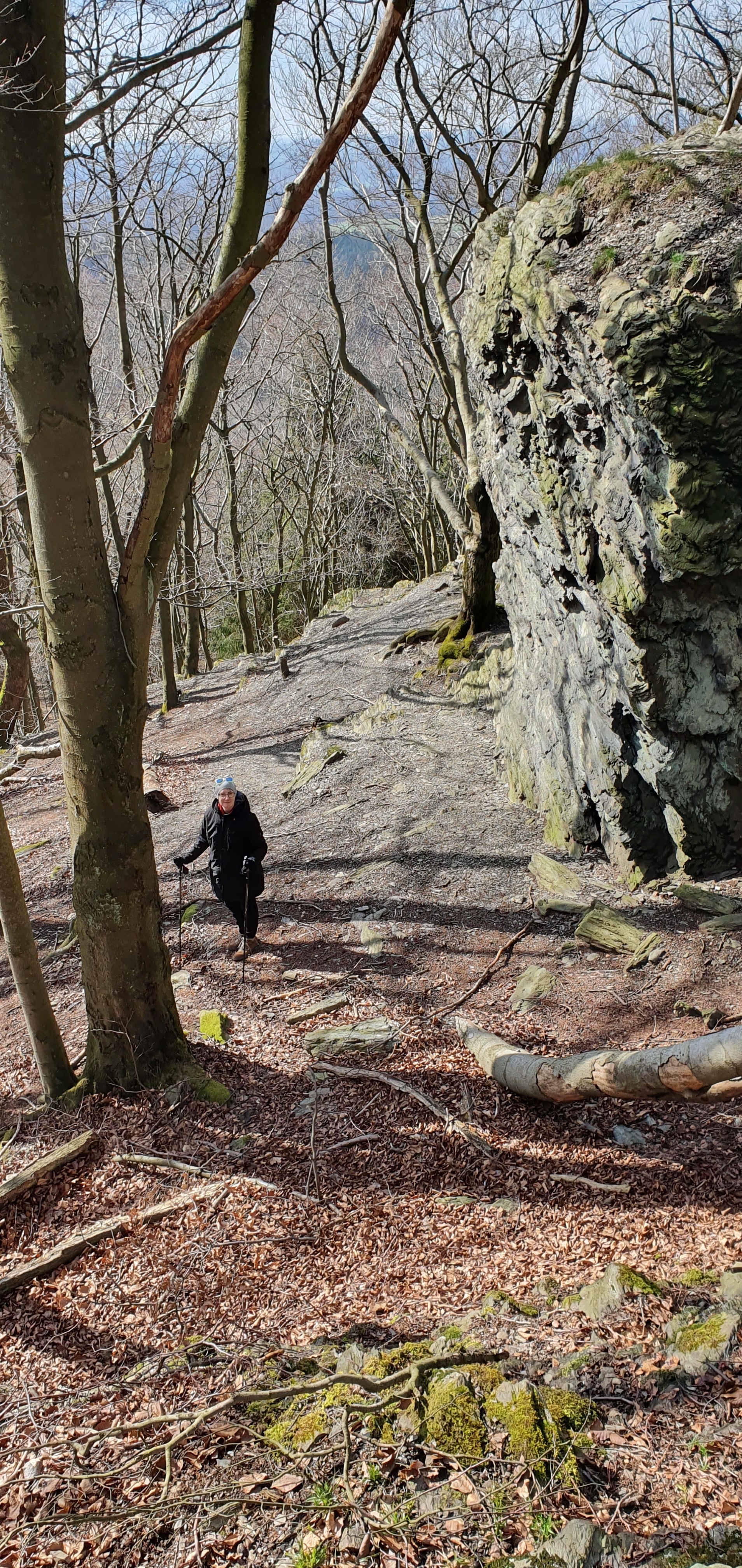 Taunus