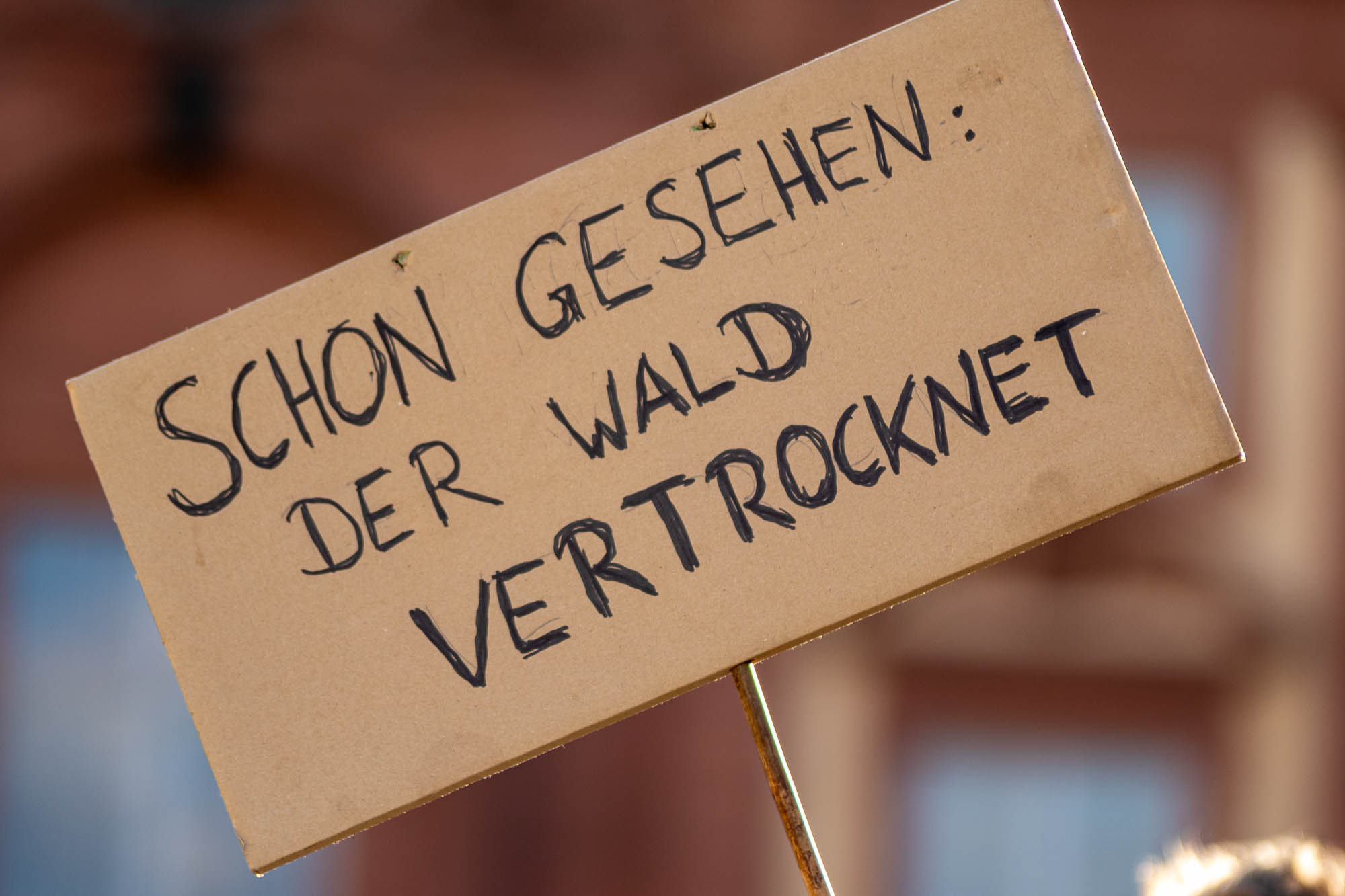 Schild auf dem Klimastreik