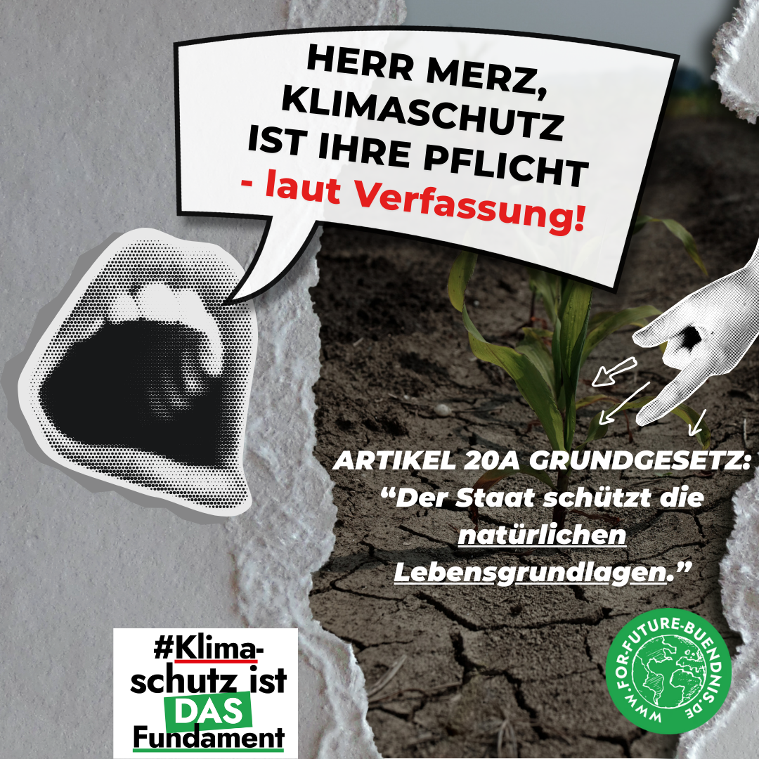 Der Schutz der Lebensgrundlagen ist in der Verfassung verankert