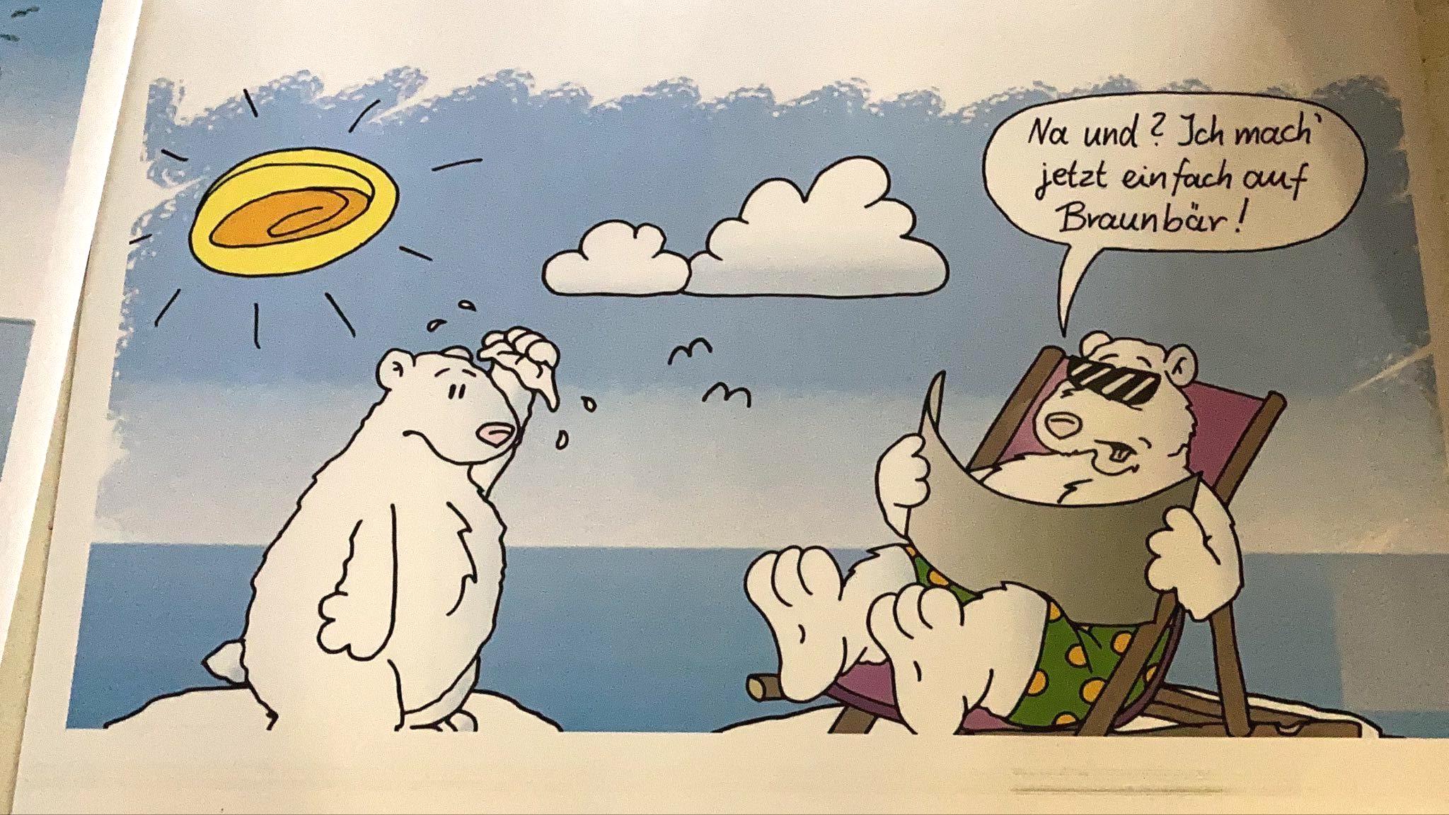 Eisbär wird zum Braunbär?`