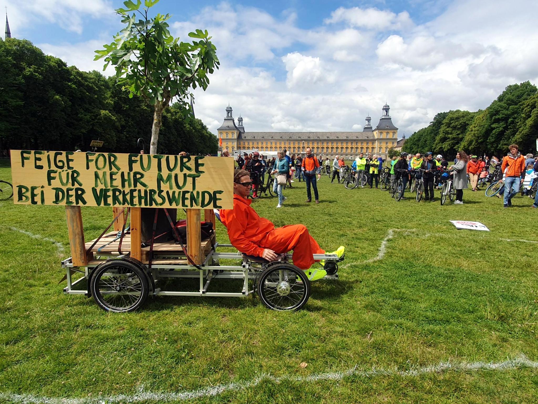 Hofgarten, Feige