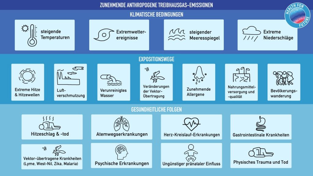 H4F Folgen für die Gesundheit