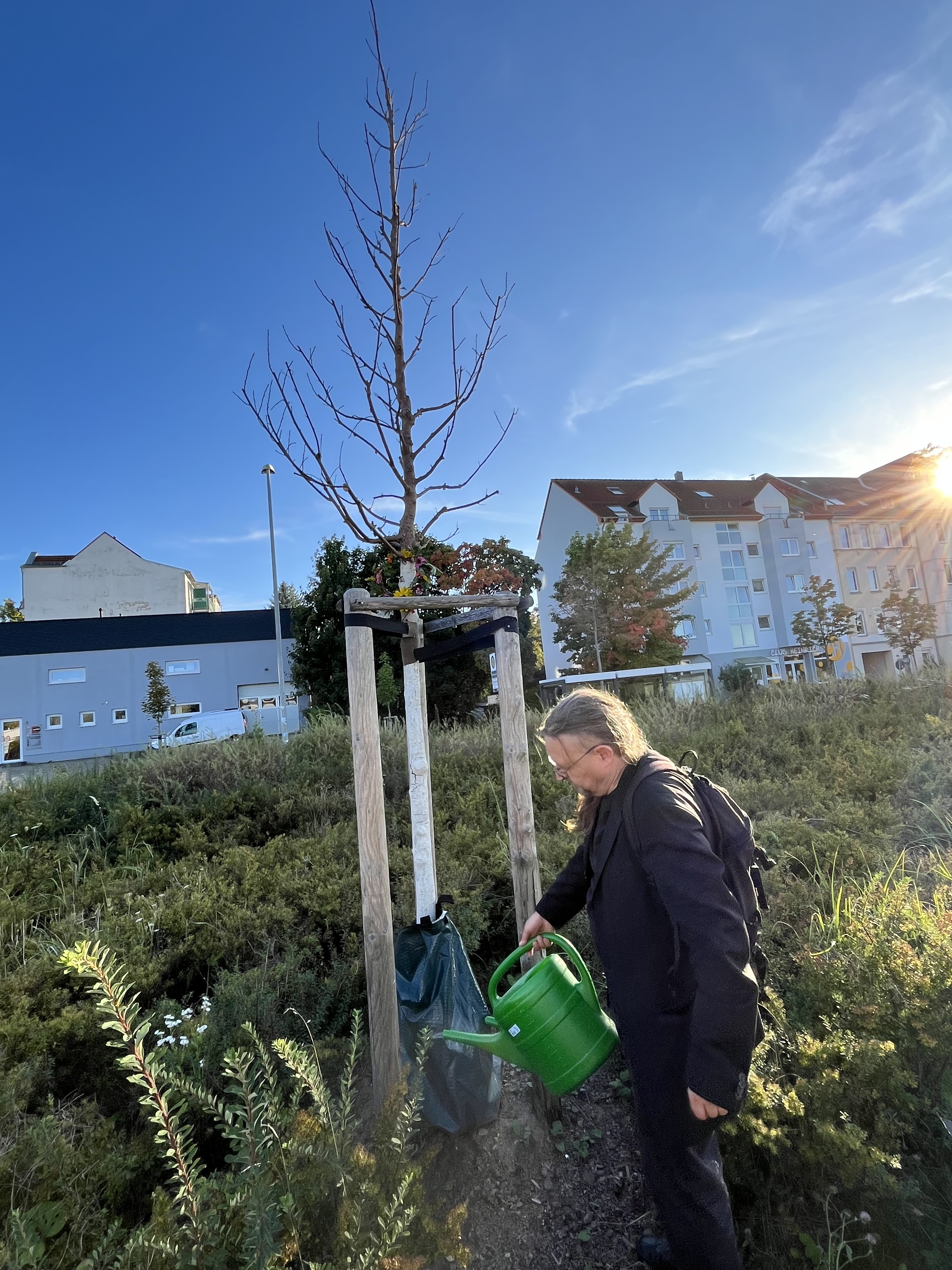 Symbolisches Gießen eines toten Baumes