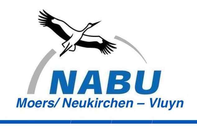 Nabu logo