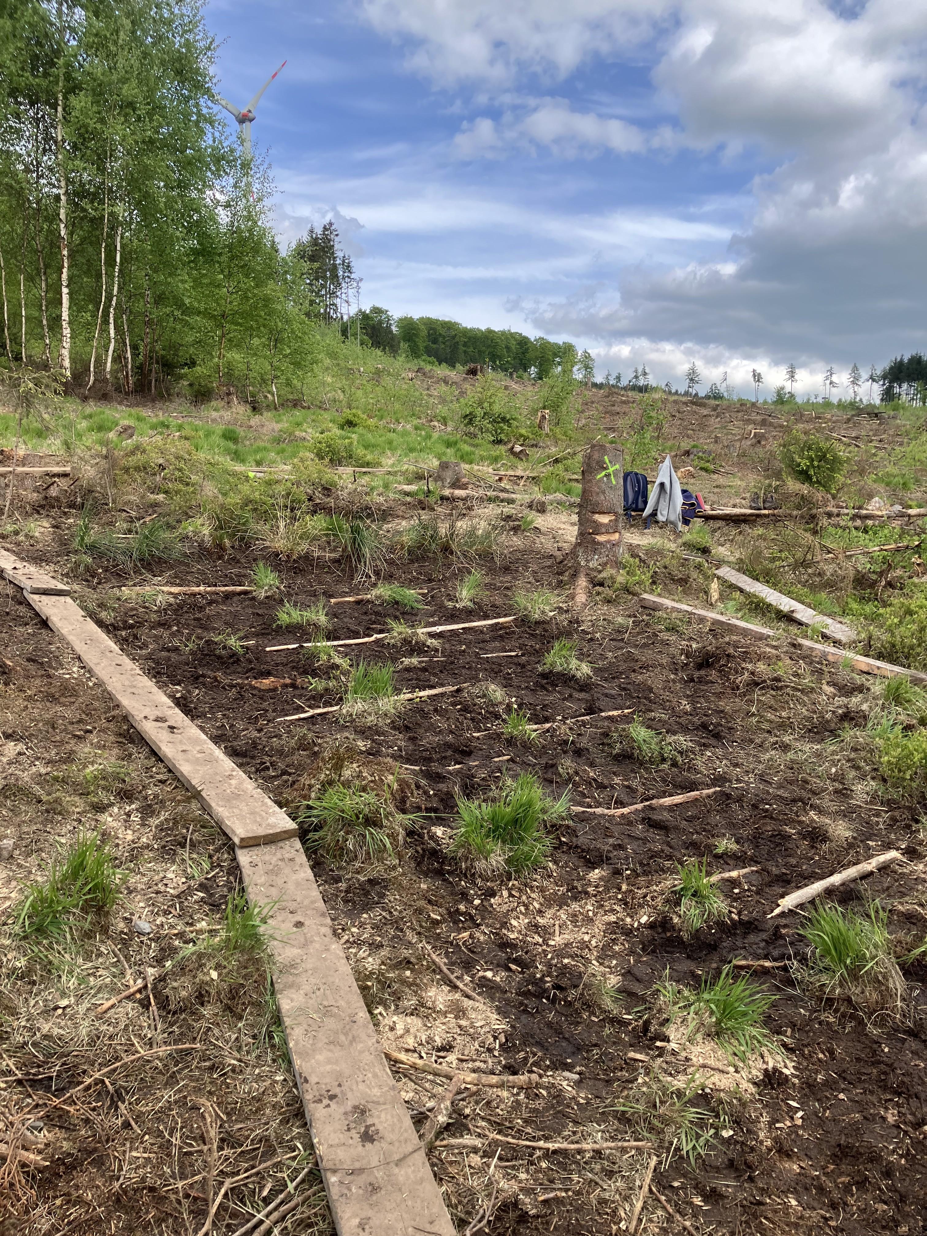 ​Moor im Kaufunger Wald nach der Arbeit  ​