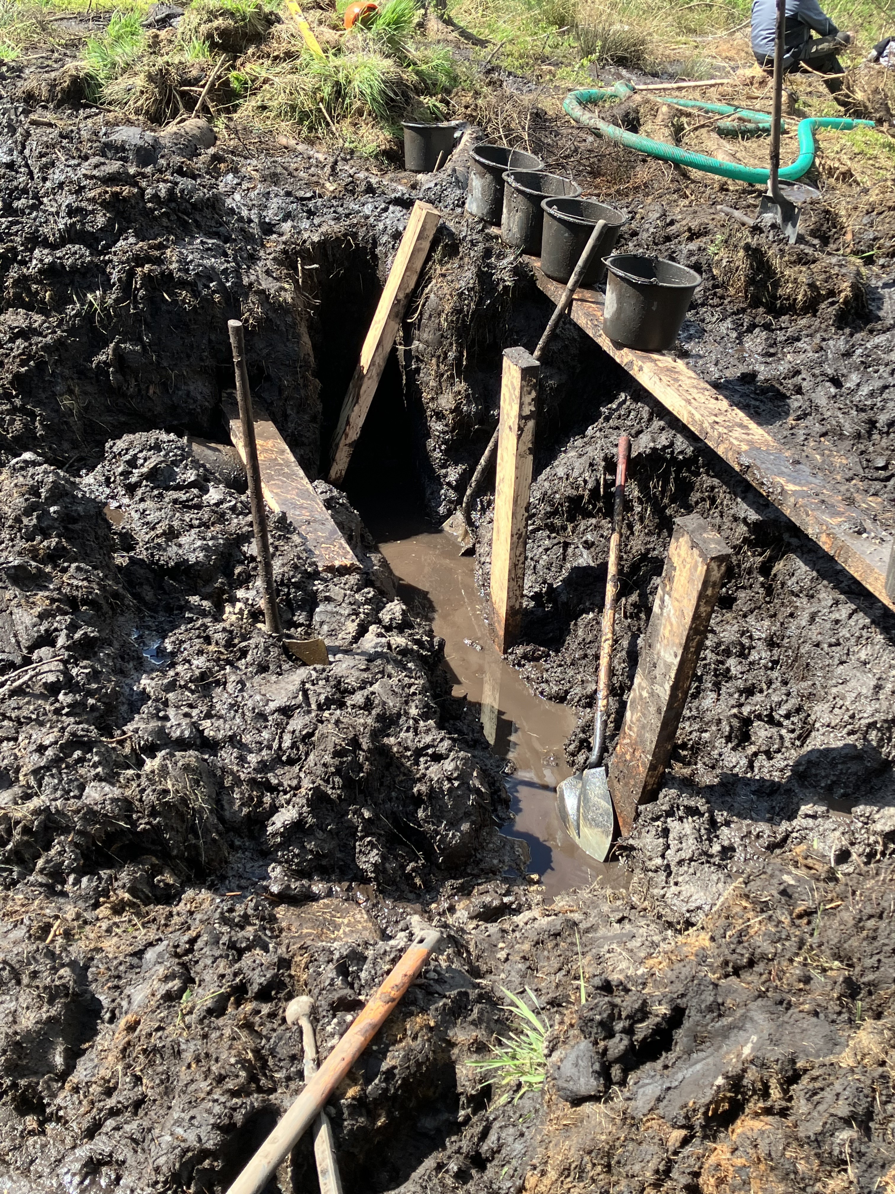 ​Moor im Kaufunger Wald während der Arbeit  ​
