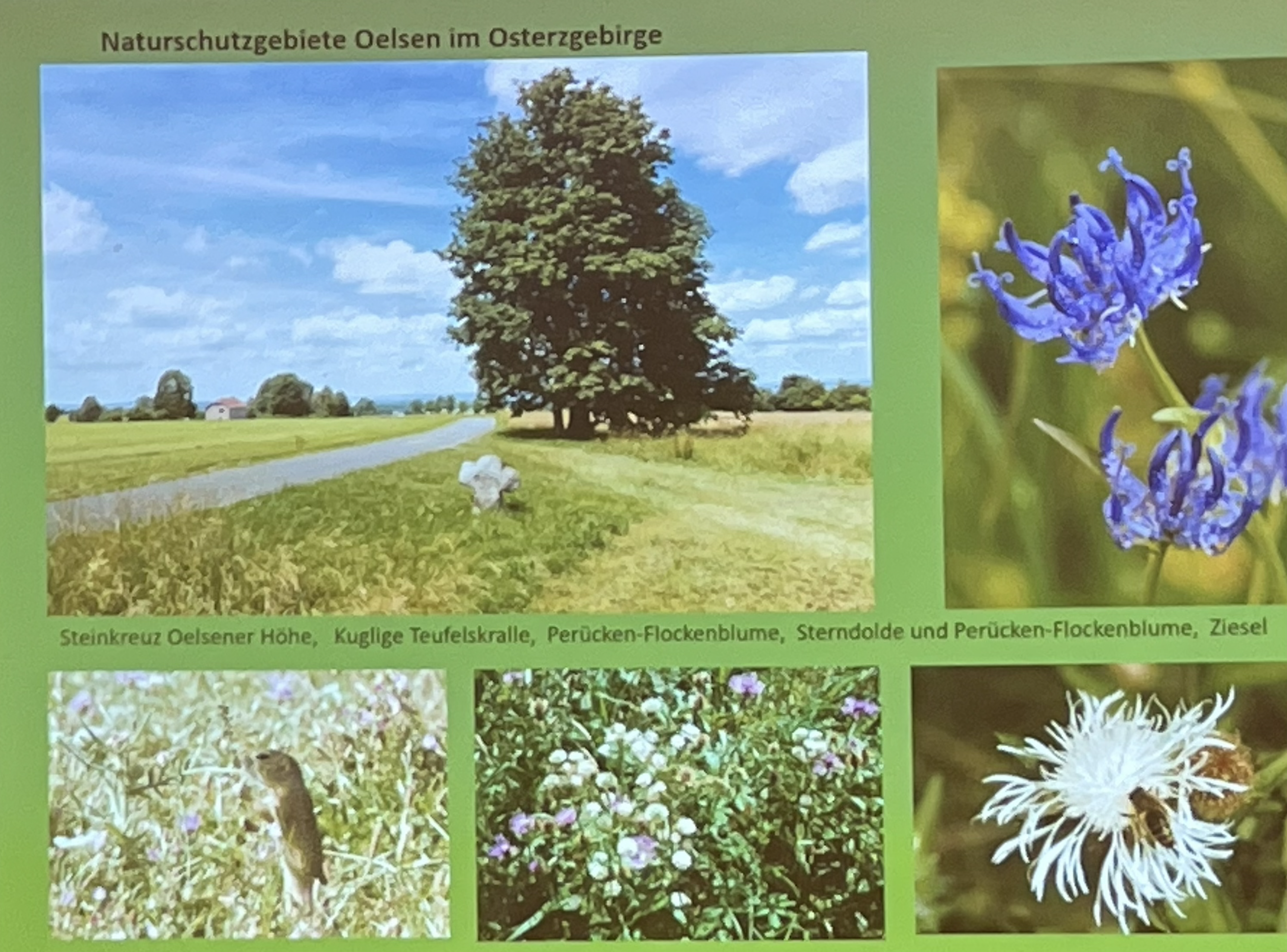 Naturschutzgebiet um Oelsen
