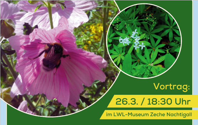 Bild einer Blume und Datum und Zeit der Veranstaltung "Naturgärten"