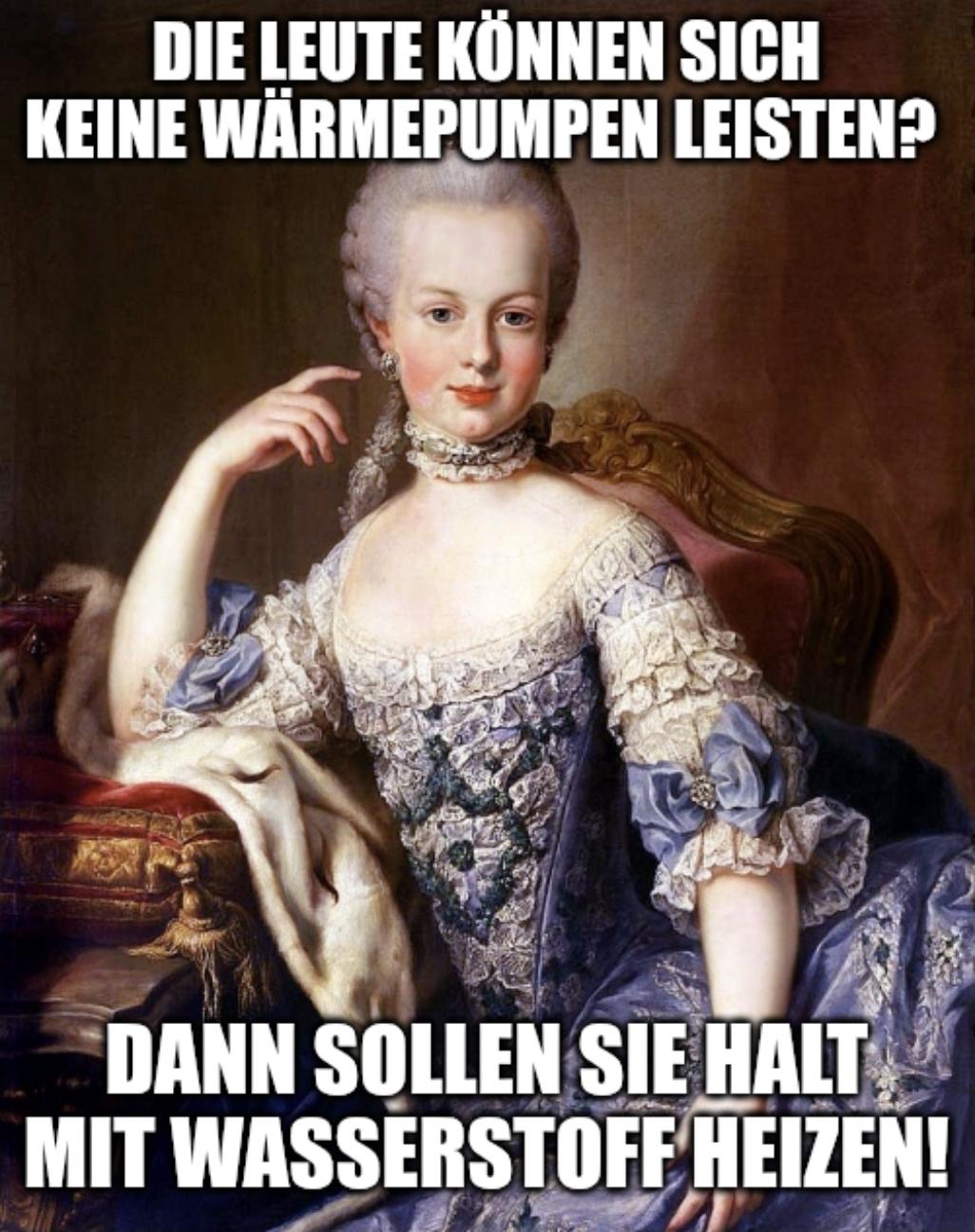 Bild einer Märchentante mit dem satirischen Text: Wärmepumpe zu teuer? Dann heize doch mit Wasserstoff.