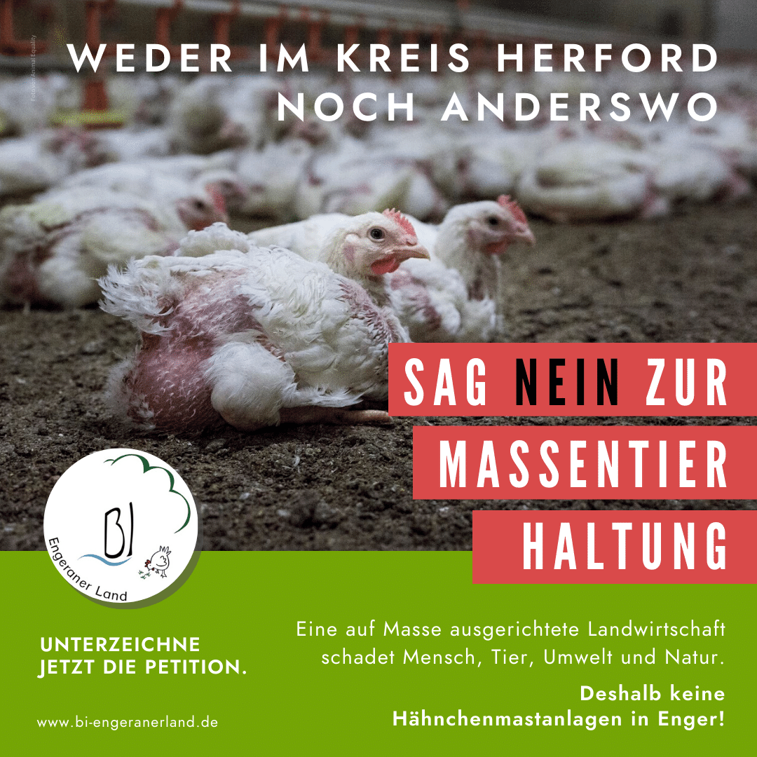 Petition gegen Massentierhaltung in Enger und anderswo