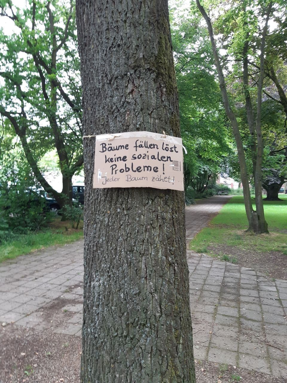 Plakat mit Spruch hängt am Baum