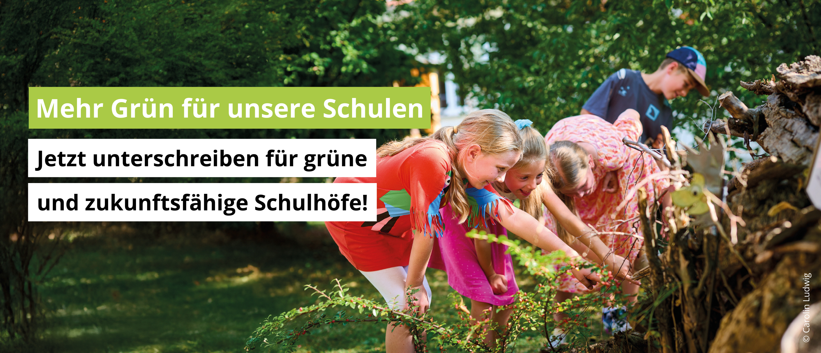 Schulhof begrünt