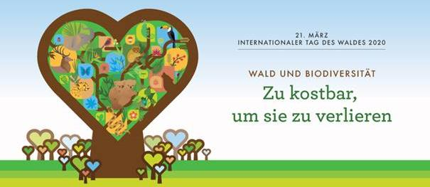 Internationaler Tag des Waldes 2020