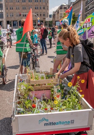 Verladen der Blumen für den Umzug