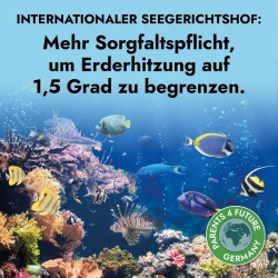 Mehr Sorgfaltspfllicht, um Erderhitzung auf 1,5 °C zu begrenzen