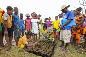 Madagaskar Kinder Youth Club lernen pikieren von Baumsämlingen