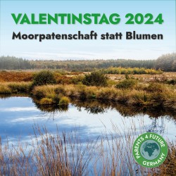 Valentinstag 2024