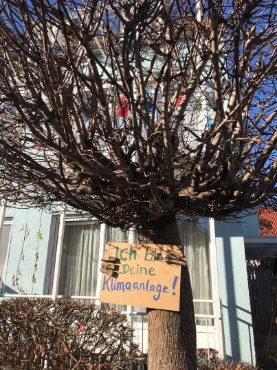 Baumdemo_1