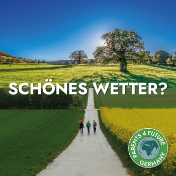 schoeneswetter