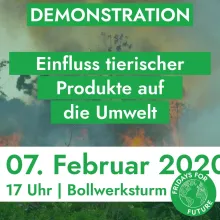 Klimademo am 07.02.2020, 17 Uhr